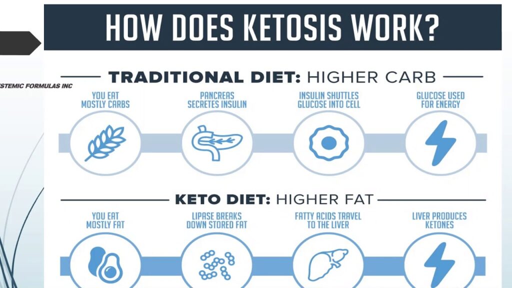 How does Ketosis work? - What Is The Fastest Way To Lose Weight?