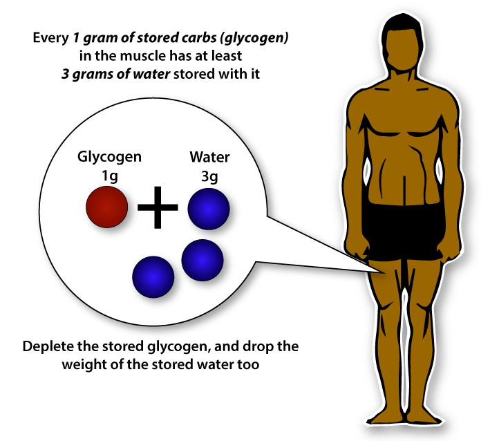 Water Weight Loss and Glycogen Depletion - What Is The Fastest Way To Lose Weight?