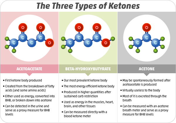three types of ketones: acetoacetate, beta-hydroxybutyrate (BHB), and acetone.