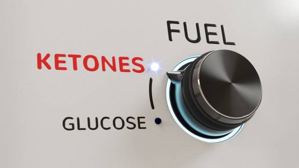 A "fuel" knob set to ketones, out of glucose and ketones.