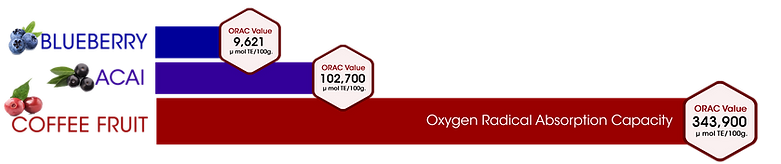Coffee That is Good For Keto Diet - A graph showing Coffee Fruit has the most ORAC Value than Acai Berry and Blueberry